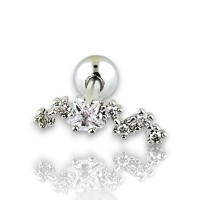 tragus engarzado 7 estrellas